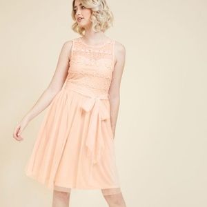 Pleasing as Punch Lace Dress in 2X